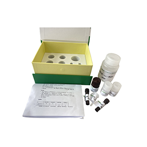 天冬酰胺酶(ASNase/asparaginase)活性測定試劑盒分光法/48樣主圖
