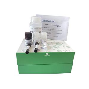 Caspase-3 活性檢測(cè)試劑盒主圖