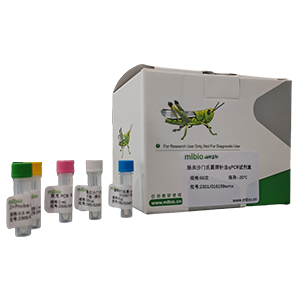 GMO外源hpt基因探針法qPCR試劑盒(不含內(nèi)參)主圖