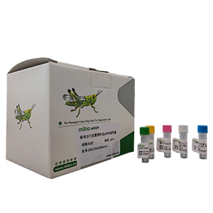 具核梭桿菌探針法qPCR試劑盒(不含內(nèi)參)主圖