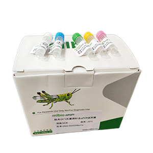 玉米內(nèi)源Adhl基因探針?lè)╭PCR試劑盒(不含內(nèi)參)主圖