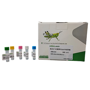GMO外源aacc4基因探針?lè)╭PCR試劑盒(不含內(nèi)參)主圖