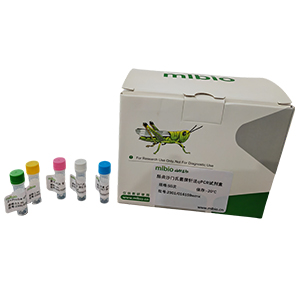 人免疫缺陷病毒1型M群B型探針法qRT-PCR試劑盒(不含內(nèi)參)主圖
